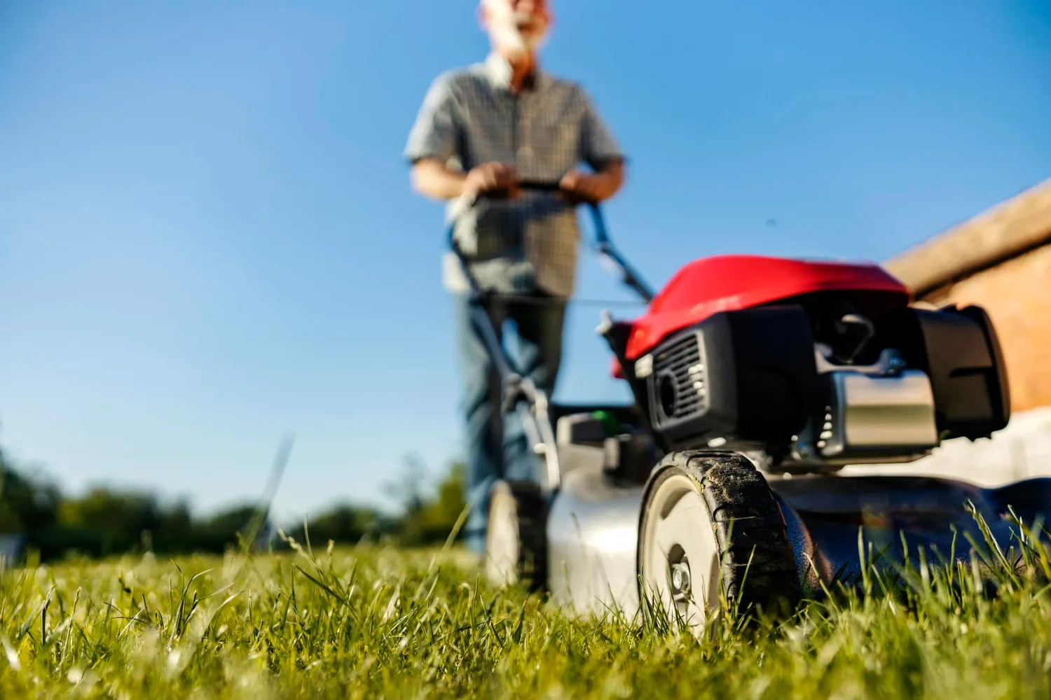 Lawn Mowing